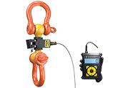 Wired Dynamometer with Attachable Display